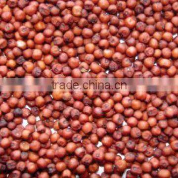 Organic Sorghum/Jwar