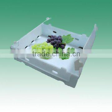 PP hollow folding box for fruit