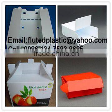 Durable and reusable plastic corrugated PP box for packing and storage