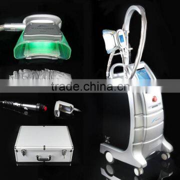 Favorites compare high effective criolipolise powerful fat freezing treatment