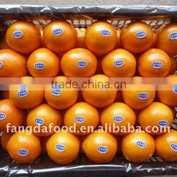 new season sweet chinese orange