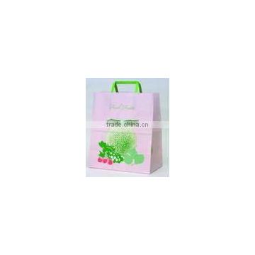 2012 kraft paper bag for advertising and promotion bag