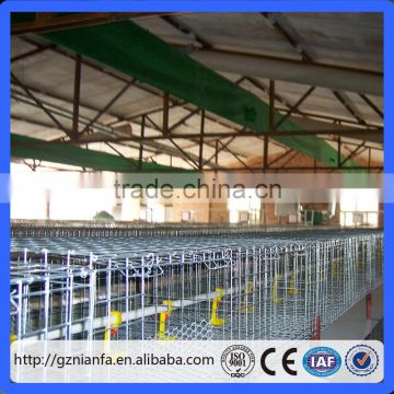 Chicken Use chicken layer cage for sale in philippines(Guangzhou Factory)