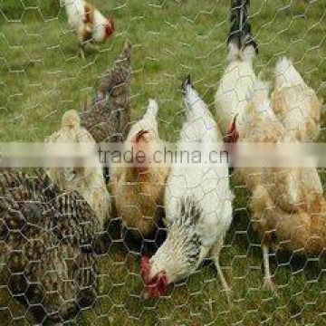 high quality low price PVC coated hexagonal chicken wire mesh from alibaba anping china supplier