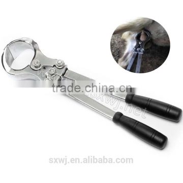 No male castrated sheep fed blood stainless steel clamp castration