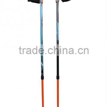 2-section walking sticks and canes
