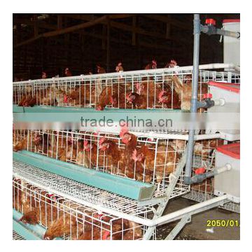 Trade Assurance Factory Supply Poultry Farm Cage Design