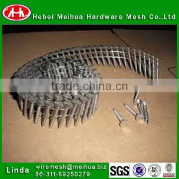 High quality galvanized coil roofing nail