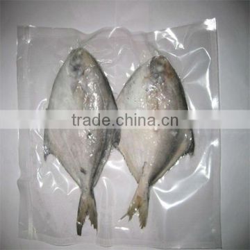 seafood fish suppliers