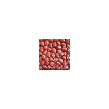 Sell Small Red Beans