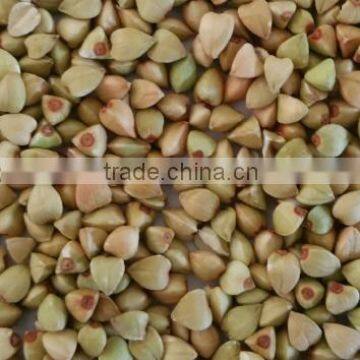 2015 crop organic buckwheat kernels