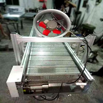 Fruit drying food chain conveyor equipment customization manufacturer