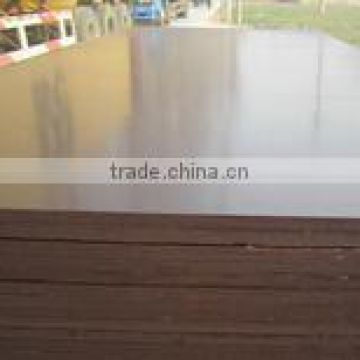 film faced plywood/marine plywood/shuttering plywood at competitive
