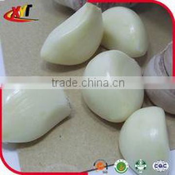 new crop fresh pure white garlic