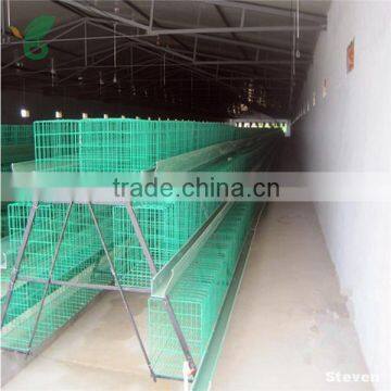 Automatic poultry farm broiler chicken cage feeding system