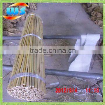 Have good fiber bamboo cane used in garden 4' 14-16mm