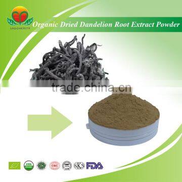 Best Selling Organic Dried Dandelion Root Extract powder