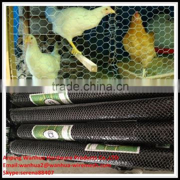 China supplier hot galvanized hexagonal chicken wire