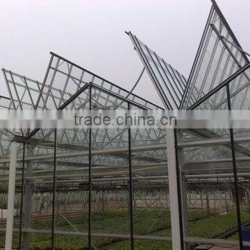 Customer design glass multi-Span agricultural greenhouse