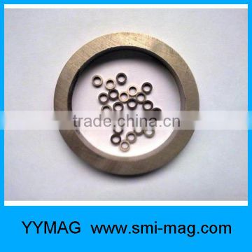 Ring Cast Alnico magnets