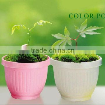 planters and urns