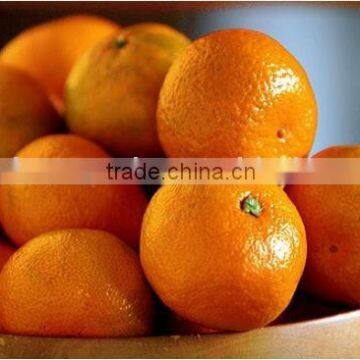 2011 Nanfeng baby mandarin orange