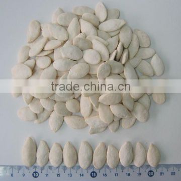 Hot Selling Products Grade A Pumpkin Seeds for Snacks