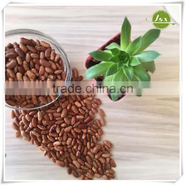 JSX Chinese Hps Quality American Round Light Speckled Kidney Beans