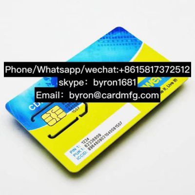SIM Carte China SIM Card Supplier for Whole Series SIM Card Telecom Use 
