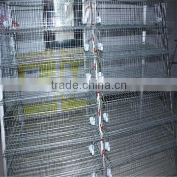 reasonable price durable quail cage system