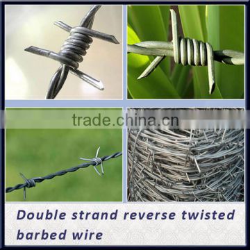 Cheap! Hot dip/ Electric galvanized Double Twist Barbed wire fencing real factory (ISO)