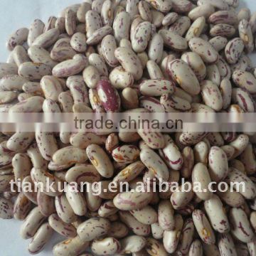 2011 crop light speckled kidney beans