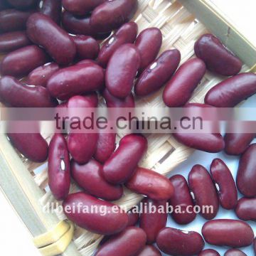 Organic Red Kidney Bean( British type, Heilongjiang origin.hps)