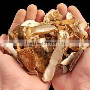 Hot Selling Chinese Dried Boletus