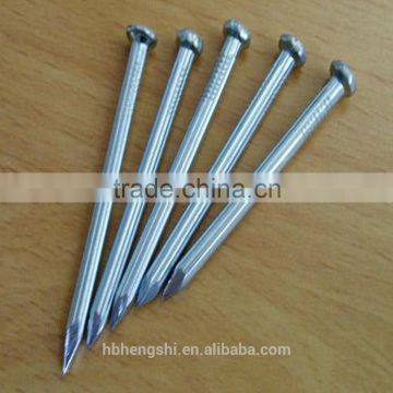 Wholesale high quality common nails