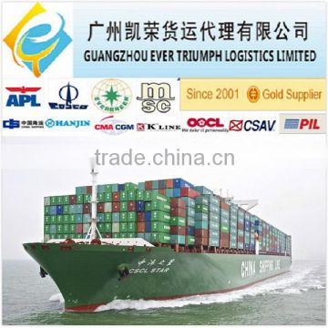 Door to door sea freight From Guangzhou/Shenzhen China to Hamburg, Germany