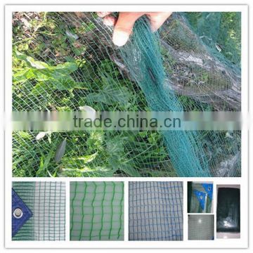 China Supply100% HDPE olive harvest net/olive net for agriculture (32g-92g olive net )