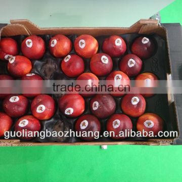29x49cm/39x59cm PP Fresh Apple Fruit Packaging Tray