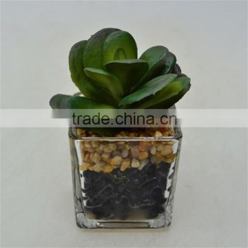 New Product Living Room Artificial Plant with Little Glass pot
