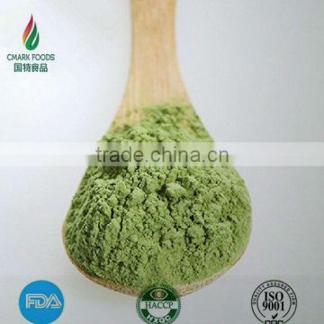 Dehydrated Young Barley Leaves Powder