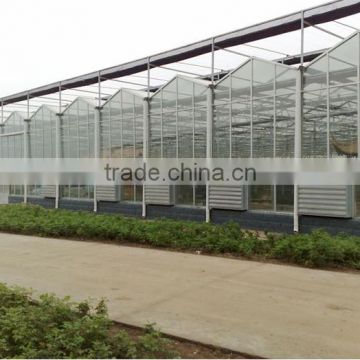 large size venlo type glass hydroponic greenhouse for sale