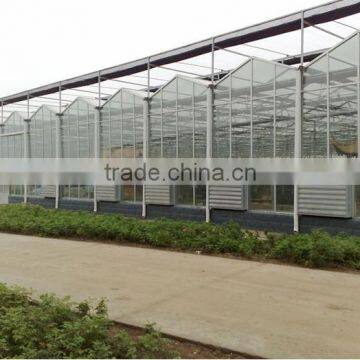 large size venlo type glass hydroponic greenhouse for sale