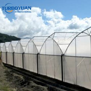 Korea white fiberglass anti insect net for greenhouse of Insect net from  China Suppliers - 159082713
