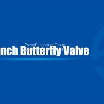 3 Inch Butterfly Valve