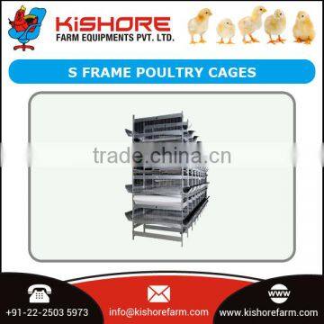 ISO Certified Manufacturer with Best Price for Poultry Cage for Animal and Poultry Husbandry