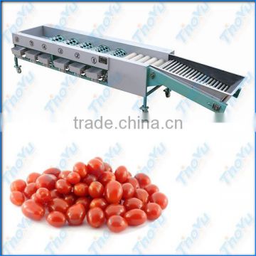 Thoyu Brand Automatic Cherry Tomatos Grading Machine with Low Price(SMS:0086-15903675071)
