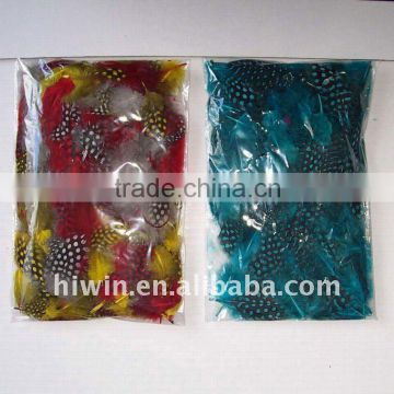 Guinea feather in small package