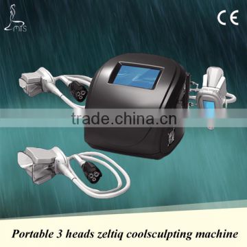 Easy cooperation portable cryotherapy machine price from Chinese professional beauty equipment manufacturer
