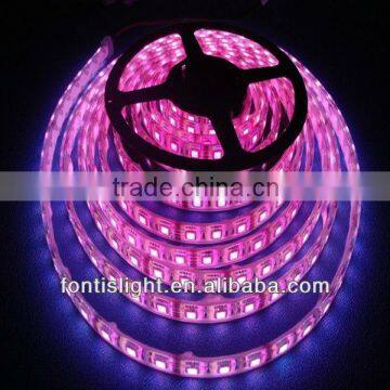 5050 Led strip for decoration/ led strip 5050 /5050 led strip IP20