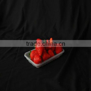 PP disposable plastic vegetable packaging tray